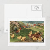 Carte Postale Coq et poussins (Devant / Derrière)