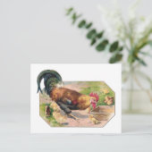 Carte Postale Coq et poussins (Debout devant)
