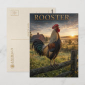 Carte Postale Coq Ferme Rurale ANIMALS (Devant / Derrière)