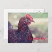Carte Postale Coq par JerseyFawn (Devant / Derrière)