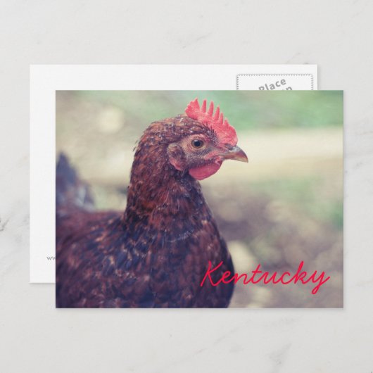 Carte Postale Coq par JerseyFawn (Devant / Derrière)