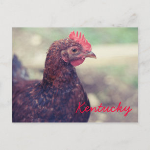Carte Postale Coq par JerseyFawn