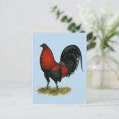 Carte Postale Coq Rouge Noir de Combat Américain BB (Debout devant)