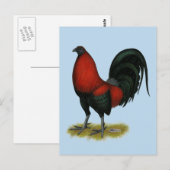Carte Postale Coq Rouge Noir de Combat Américain BB (Devant / Derrière)