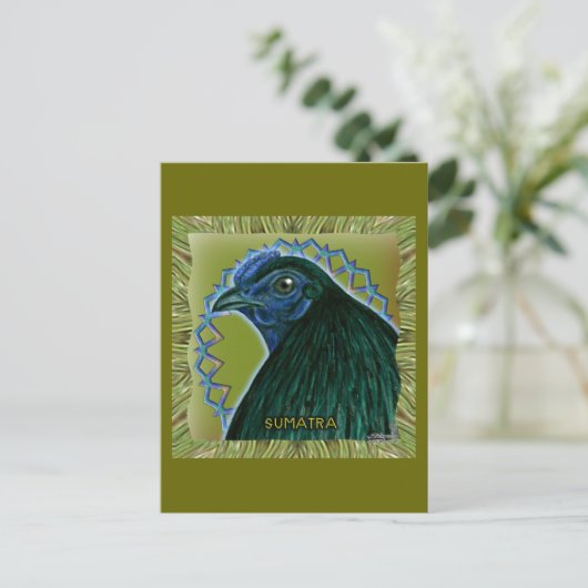 Carte Postale Coq Sumatra encadré (Debout devant)