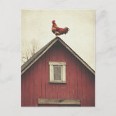 Carte Postale Coq sur le toit (Devant)