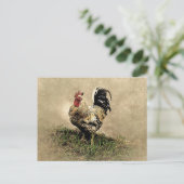 Carte Postale Coq vintage dans l'herbe (Debout devant)