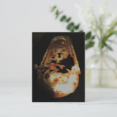 Carte Postale coque (Debout devant)