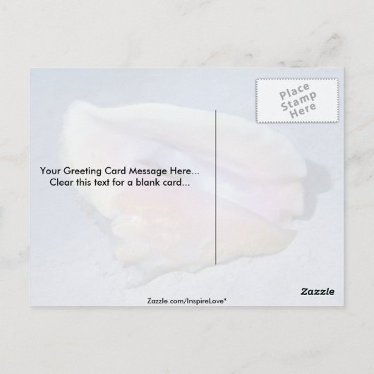 Carte Postale Coque Queen (Strombus gigas) Shell (Dos)