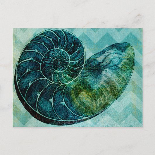 Carte Postale Coque spirale Turquoise (Devant)