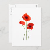 Carte Postale coquelicot (Devant / Derrière)