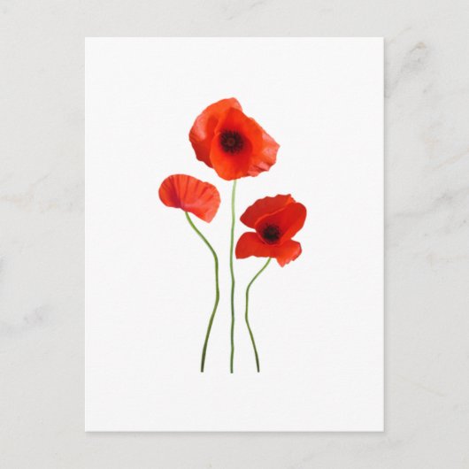 Carte Postale coquelicot (Devant)