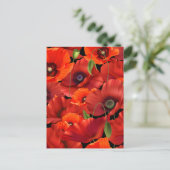 Carte Postale Coquelicot (Debout devant)