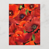 Carte Postale Coquelicot (Devant)