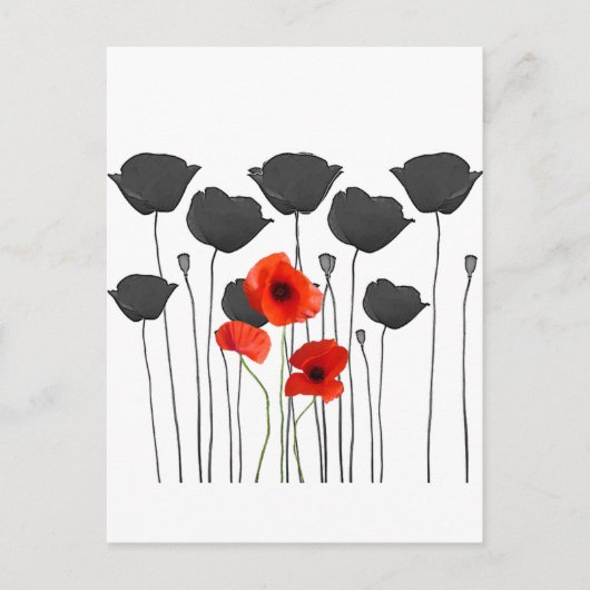 Carte Postale coquelicot (Devant)