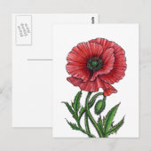 Carte Postale Coquelicot, aquarelle et encre (Devant / Derrière)