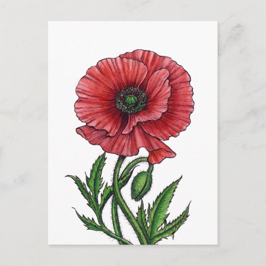 Carte Postale Coquelicot, aquarelle et encre (Devant)