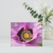 Carte Postale Coquelicot et un insecte (Debout devant)