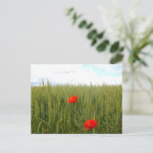 Carte postale Coquelicots dans un champ de blé (Debout devant)