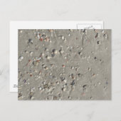 Carte Postale Coques (Devant / Derrière)