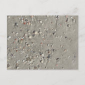 Carte Postale Coques (Devant)