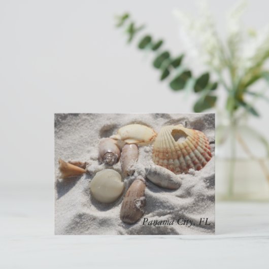 Carte Postale Coques (Debout devant)