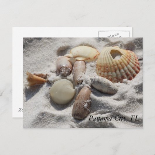 Carte Postale Coques (Devant / Derrière)