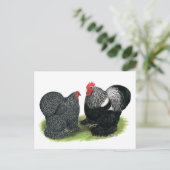 Carte Postale Coques :  Crayon argent (Debout devant)