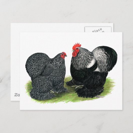 Carte Postale Coques :  Crayon argent (Devant / Derrière)