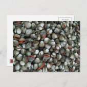 Carte Postale Coques de coques de sang (Devant / Derrière)