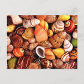Carte Postale Coques de mer (Devant)