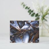 Carte postale Coques de moules (Debout devant)