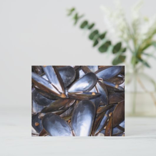 Carte postale Coques de moules (Debout devant)