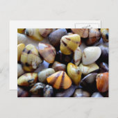 Carte Postale Coques de palourdes colorées (Devant / Derrière)