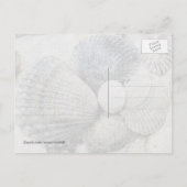 Carte postale Coques de plage noir et blanc (Dos)