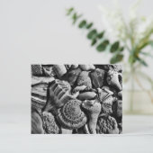 Carte postale Coques de plage noir et blanc (Debout devant)