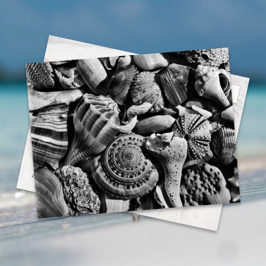 Carte postale Coques de plage noir et blanc