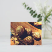 Carte Postale Coques des escargots (Debout devant)