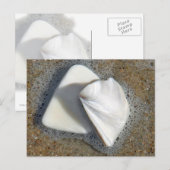 Carte Postale Coques et sable (Devant / Derrière)
