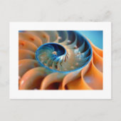 Carte postale - Coques Fibonacci (Devant)
