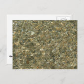 Carte Postale Coques sous l'eau de ruissellement (Devant / Derrière)