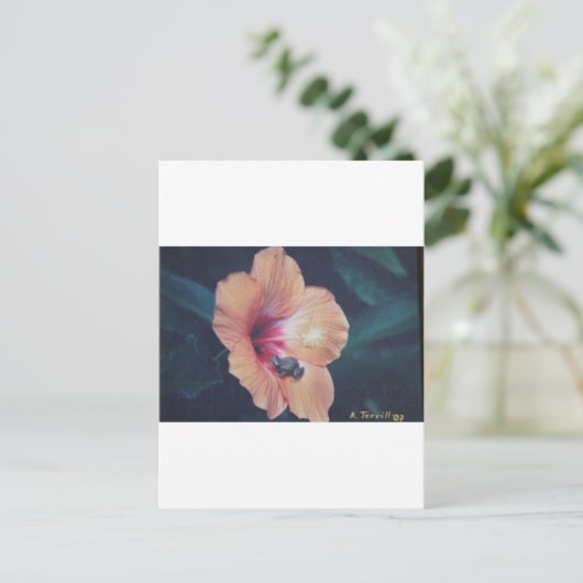 CARTE POSTALE COQUI (Debout devant)