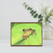 Carte Postale Coqui de Puerto Rico Postcard (Debout devant)