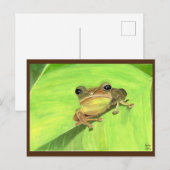 Carte Postale Coqui de Puerto Rico Postcard (Devant / Derrière)