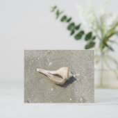 Carte Postale Coquillage (Debout devant)