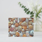 Carte Postale Coquillage (Debout devant)