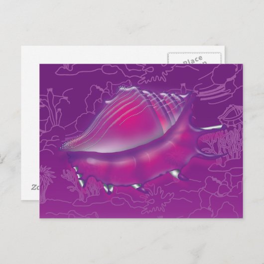 Carte Postale Coquillage (Devant / Derrière)