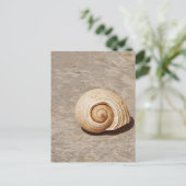 Carte Postale Coquillage (Debout devant)