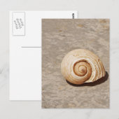 Carte Postale Coquillage (Devant / Derrière)
