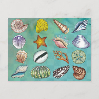 Carte postale Coquillage coloré